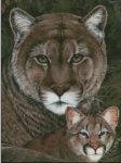 Cougar Family Portrait (image for) Cougar Family Portrait
